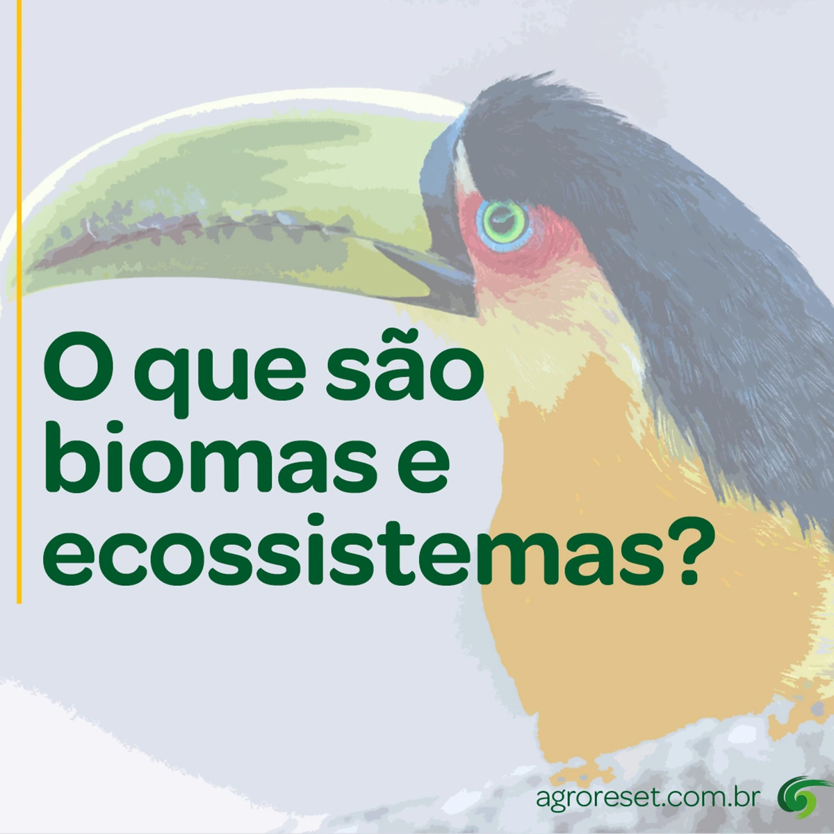 AgroReset — Conteúdo e design para redes