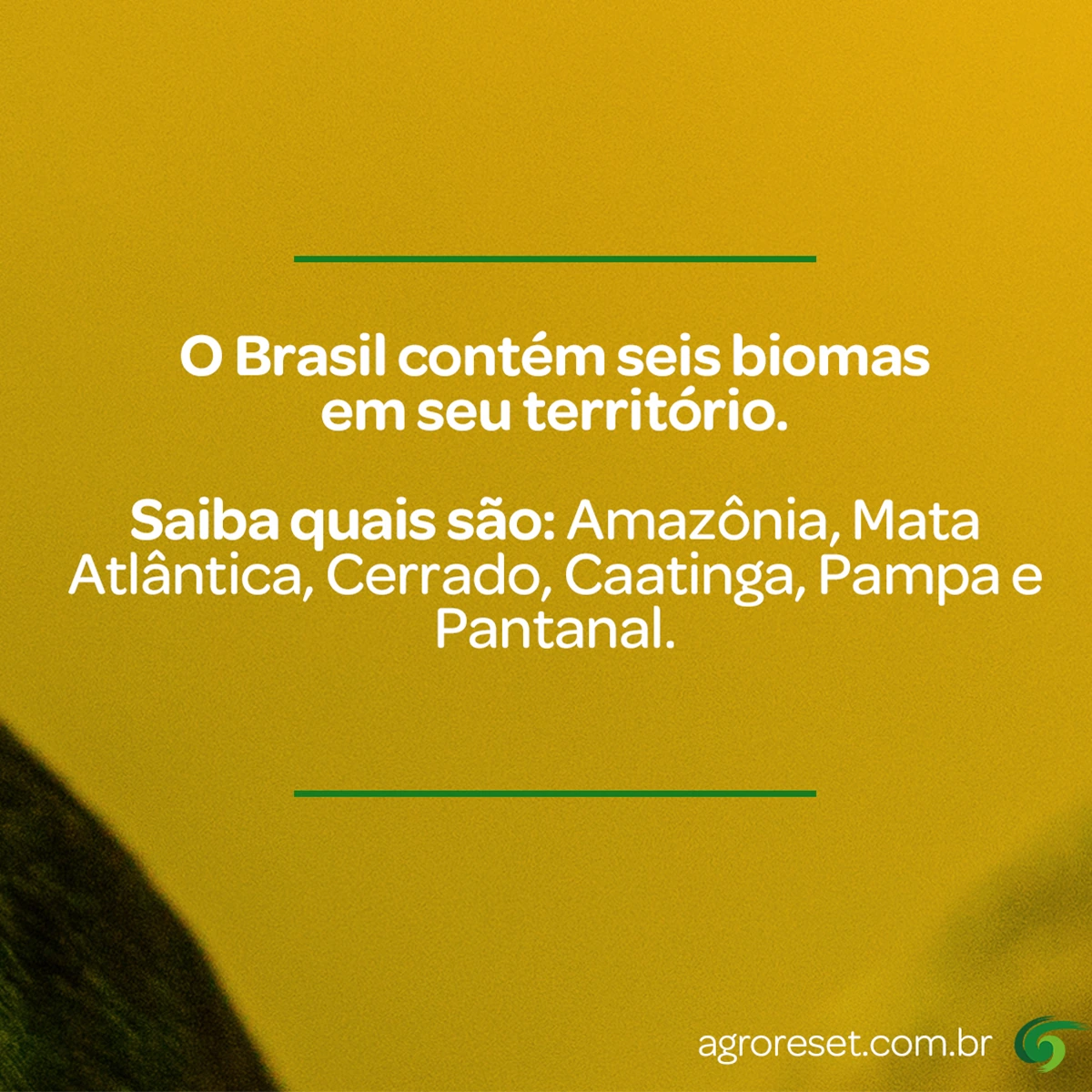 Continuidade do conteúdo sobre os biomas brasileiros.