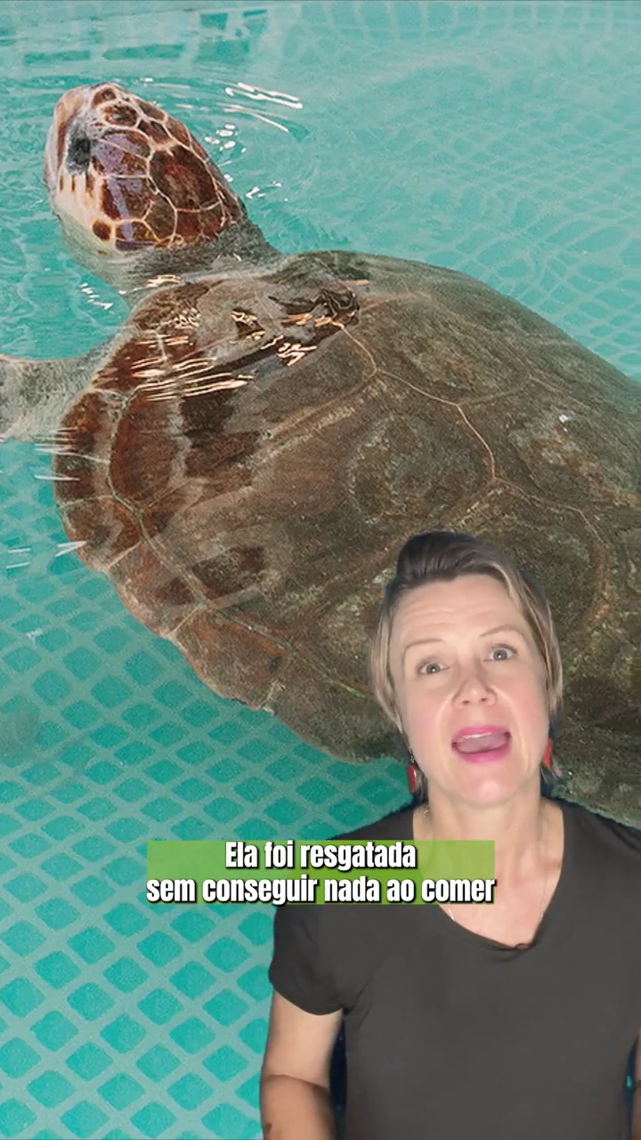 CicloVivo — Edição audiovisual
